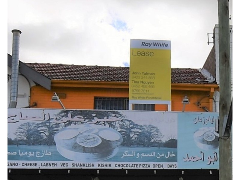 19 Breust Place, Punchbowl NSW 2196