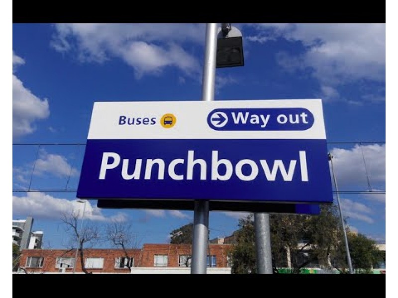 19 Breust Place, Punchbowl NSW 2196