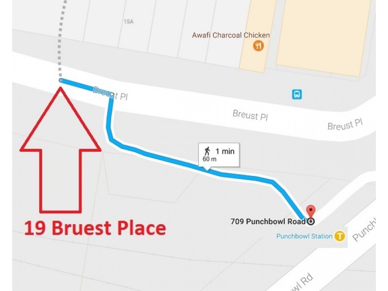 19 Breust Place, Punchbowl NSW 2196
