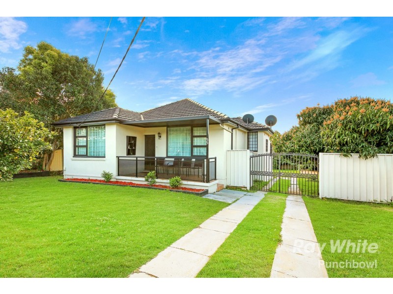 55 Wattle Street, Punchbowl NSW 2196