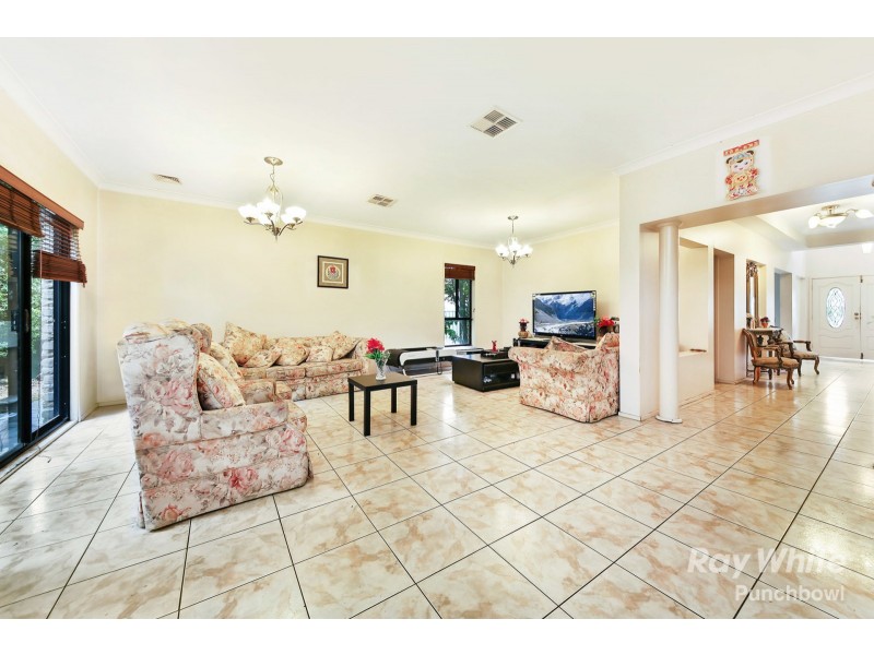 8 Griffiths Avenue, Punchbowl NSW 2196