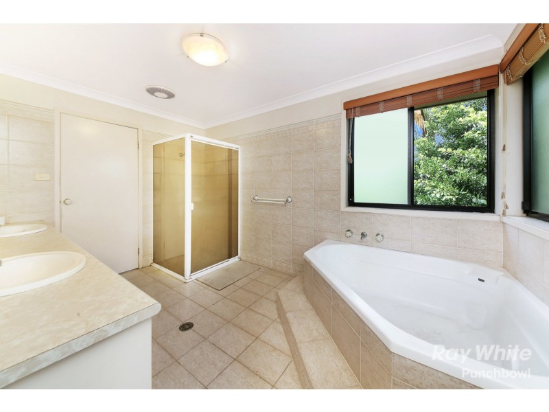 8 Griffiths Avenue, Punchbowl NSW 2196