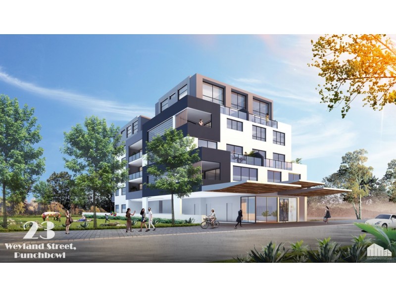 23 Weyland St, Punchbowl NSW 2196