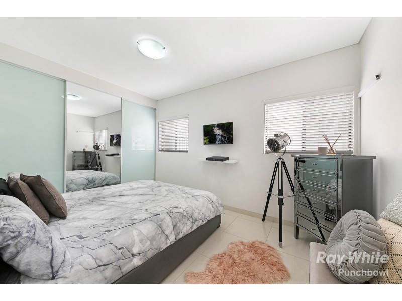 6 RENOWN AVENUE, Wiley Park NSW 2195