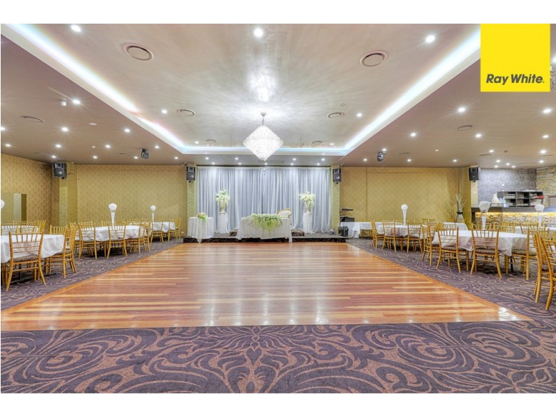 17 South Terrace, Punchbowl NSW 2196