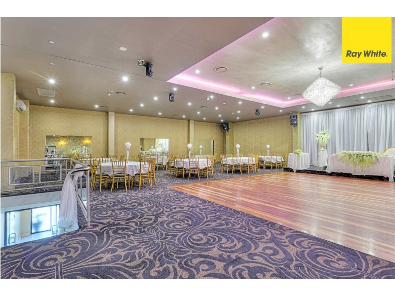 17 South Terrace, Punchbowl NSW 2196