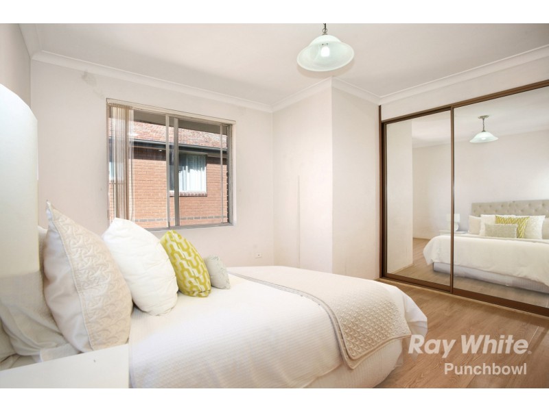 6 Willeroo Street, Lakemba NSW 2195