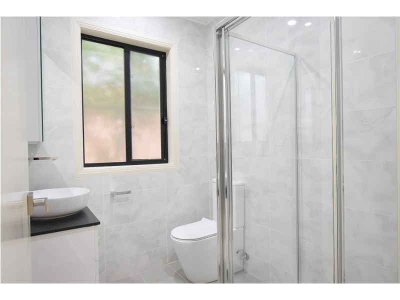 4B YARRAN STREET, Punchbowl NSW 2196