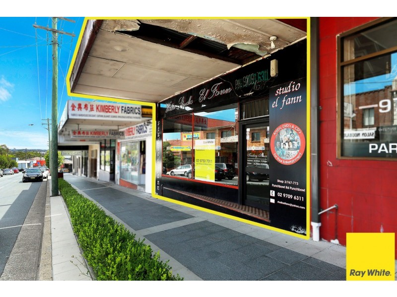 3/767 Punchbowl Road, Punchbowl NSW 2196