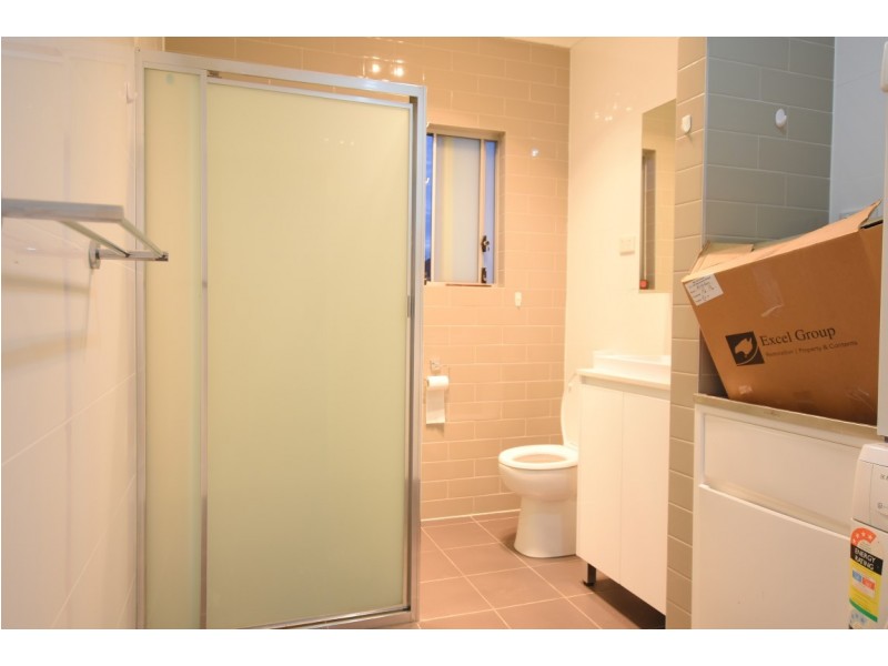 9 JOYCE STREET, Punchbowl NSW 2196