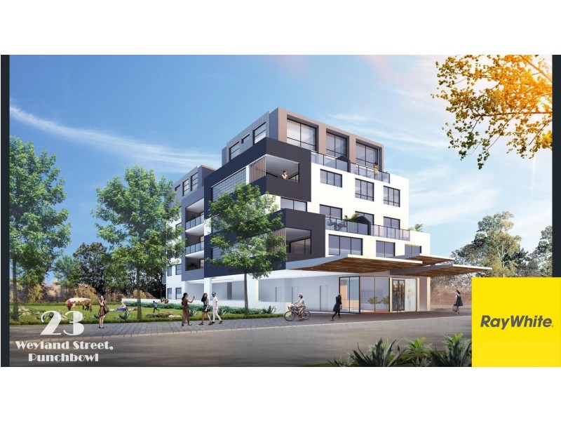 23 Weyland Street, Punchbowl NSW 2196