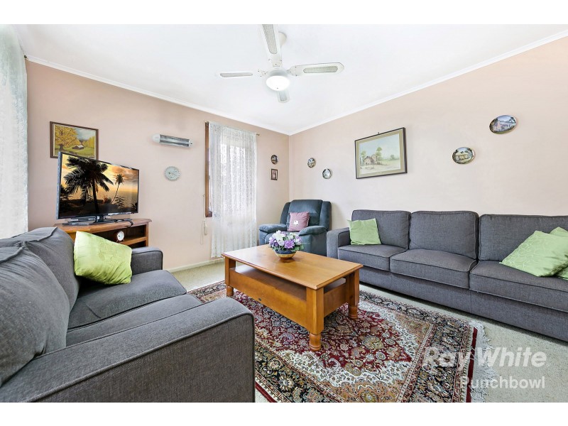 6 Mitcham Street, Punchbowl NSW 2196