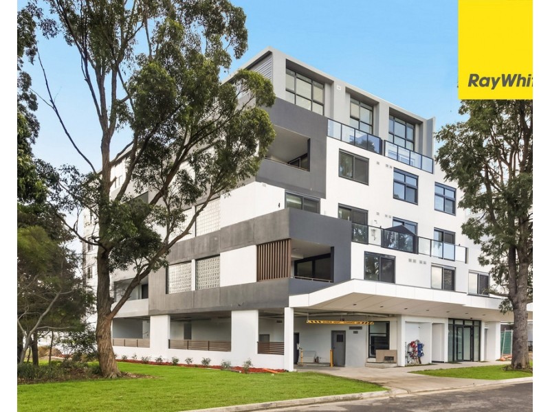 23 Weyland Street, Punchbowl NSW 2196