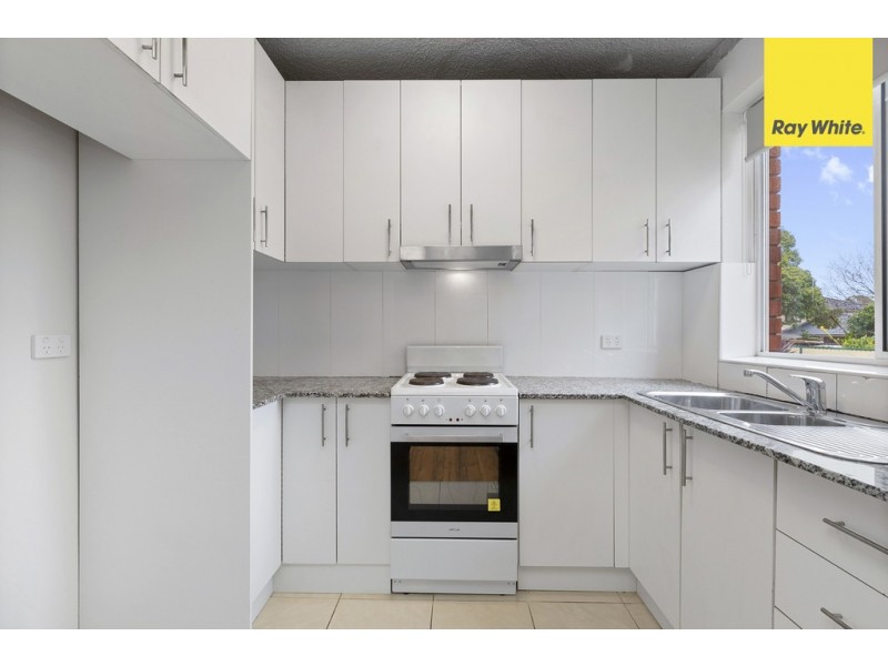 13 Rosemont St North, Punchbowl NSW 2196