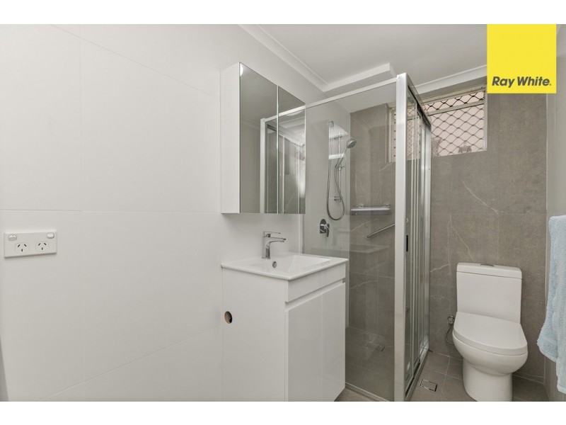 13 Rosemont St North, Punchbowl NSW 2196