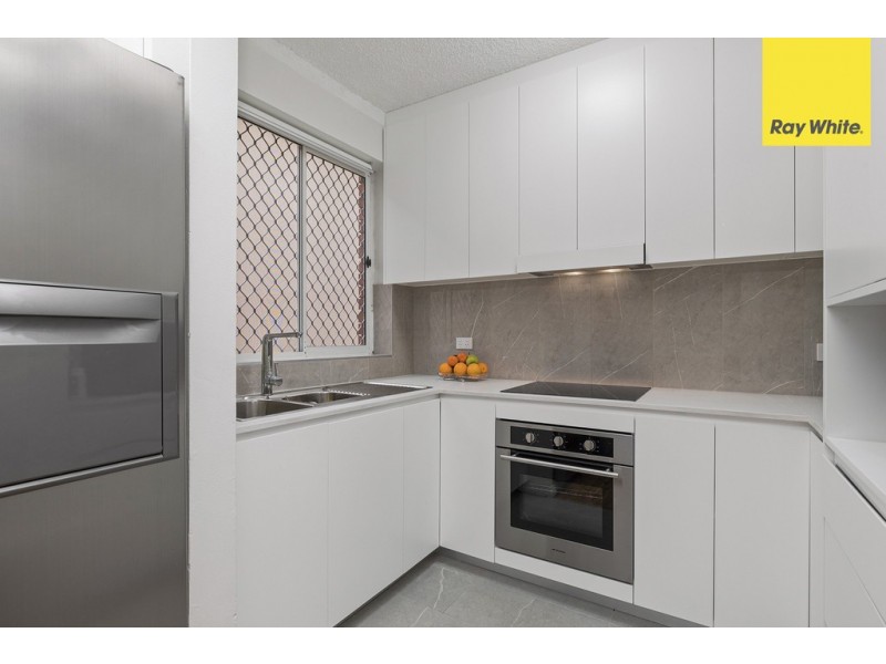 13 Rosemont St North, Punchbowl NSW 2196