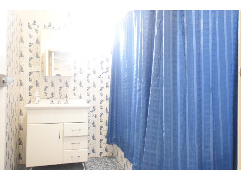 12 DEFOE STREET, Wiley Park NSW 2195