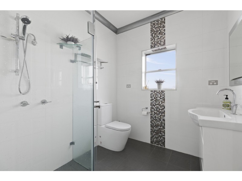 55 CARLTON PARADE, Punchbowl NSW 2196