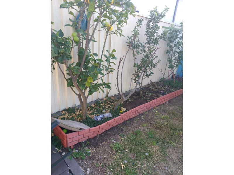 60 Tennyson Road, Greenacre NSW 2190