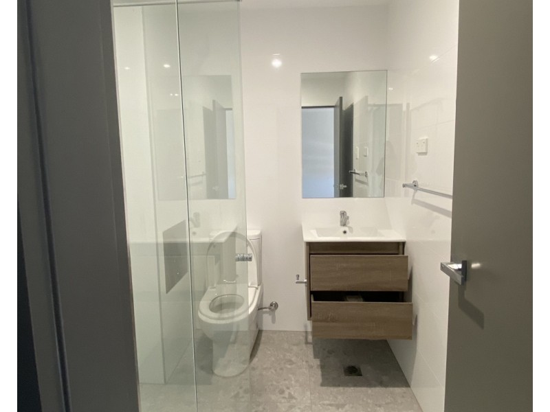 17 Arthur Street, Punchbowl NSW 2196