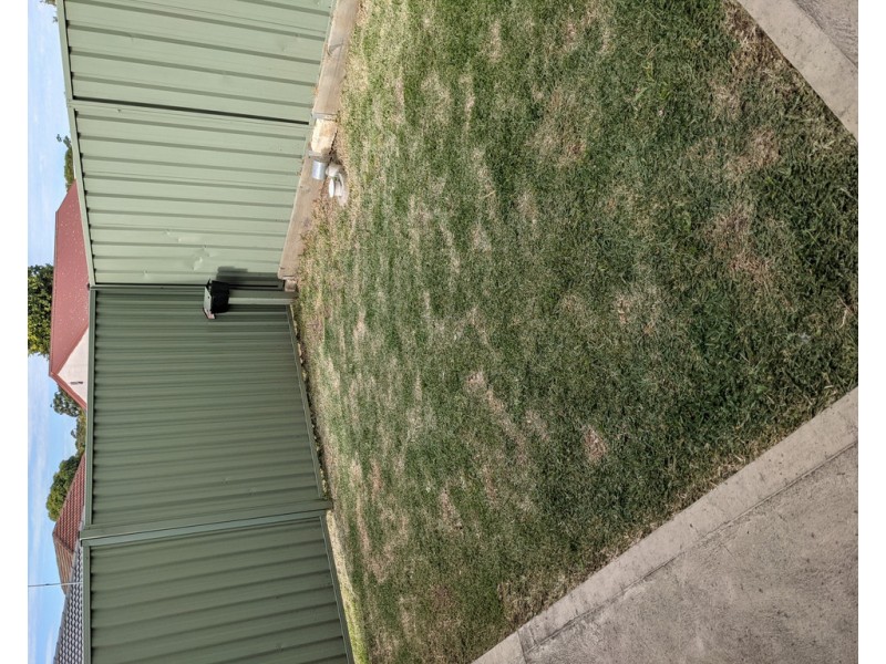 43 Campaspe Avenue, Wiley Park NSW 2195