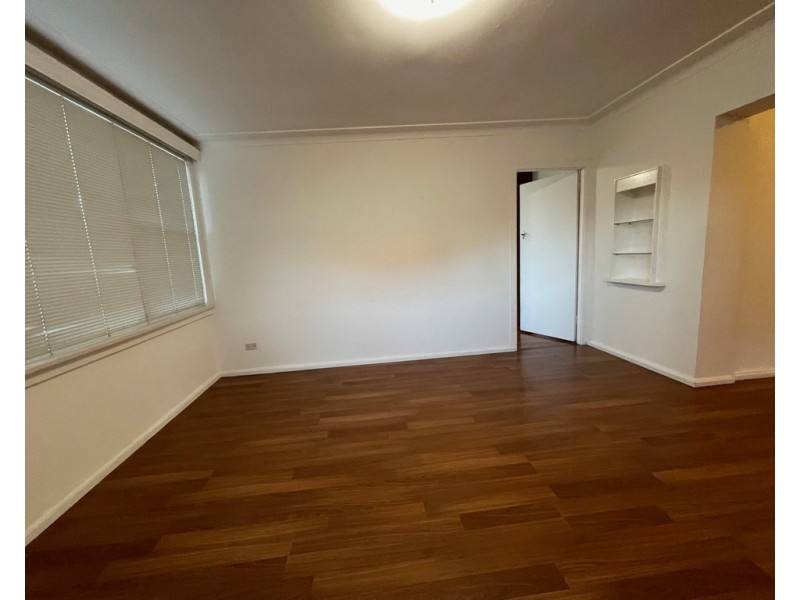 20 Werona Avenue, Punchbowl NSW 2196