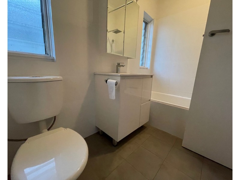 20 Werona Avenue, Punchbowl NSW 2196