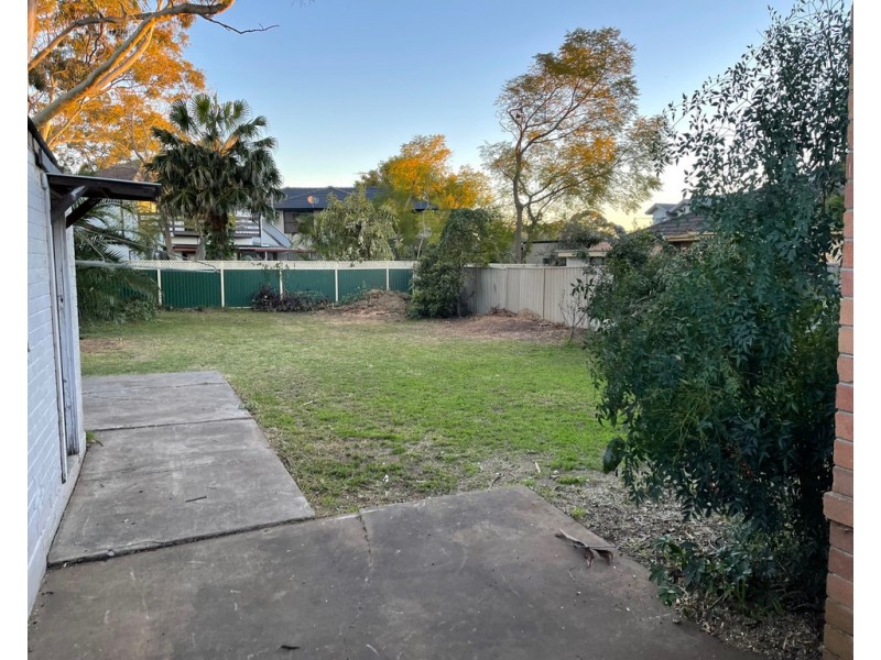 20 Werona Avenue, Punchbowl NSW 2196