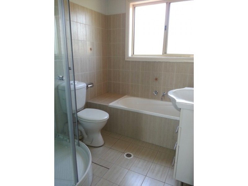 2/59 Belmore Road, Punchbowl NSW 2196