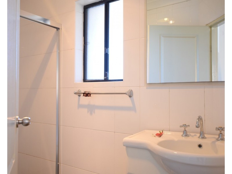 42 Cornelia Street, Wiley Park NSW 2195