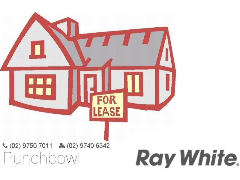 Punchbowl NSW 2196