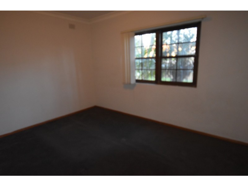 2/1079 Canterbury Road, Wiley Park NSW 2195