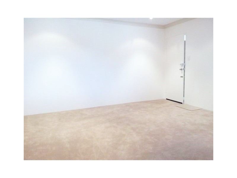 38 ARTHUR STREET, Punchbowl NSW 2196