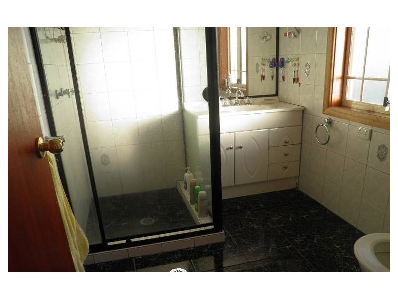 42 Carrisbrook Avenue, Punchbowl NSW 2196