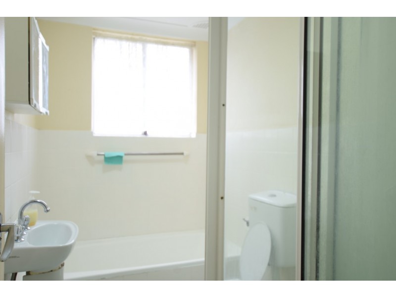 2/41-43 Rosemont Street, Punchbowl NSW 2196