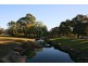 36 Hillard St, Wiley Park NSW 2195