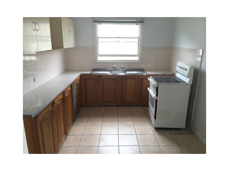 17 Septimus Street, Punchbowl NSW 2196