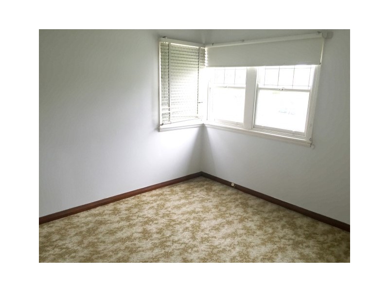 17 Septimus Street, Punchbowl NSW 2196