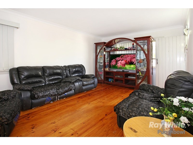 36 Kensington Street, Punchbowl NSW 2196