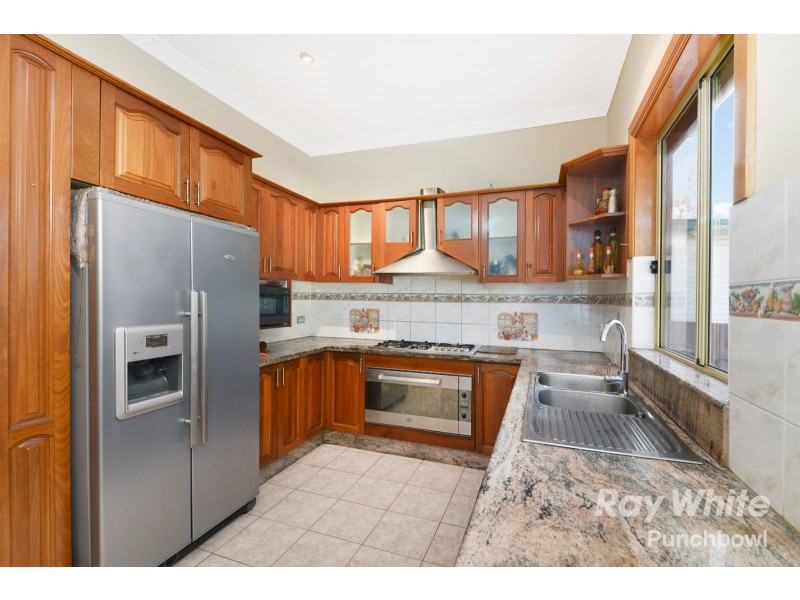 20 Renown Avenue, Wiley Park NSW 2195