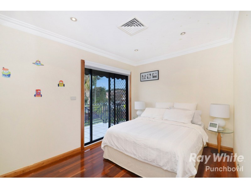 20 Renown Avenue, Wiley Park NSW 2195