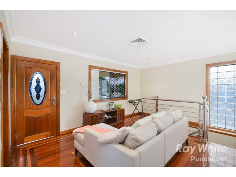 20 Renown Avenue, Wiley Park NSW 2195