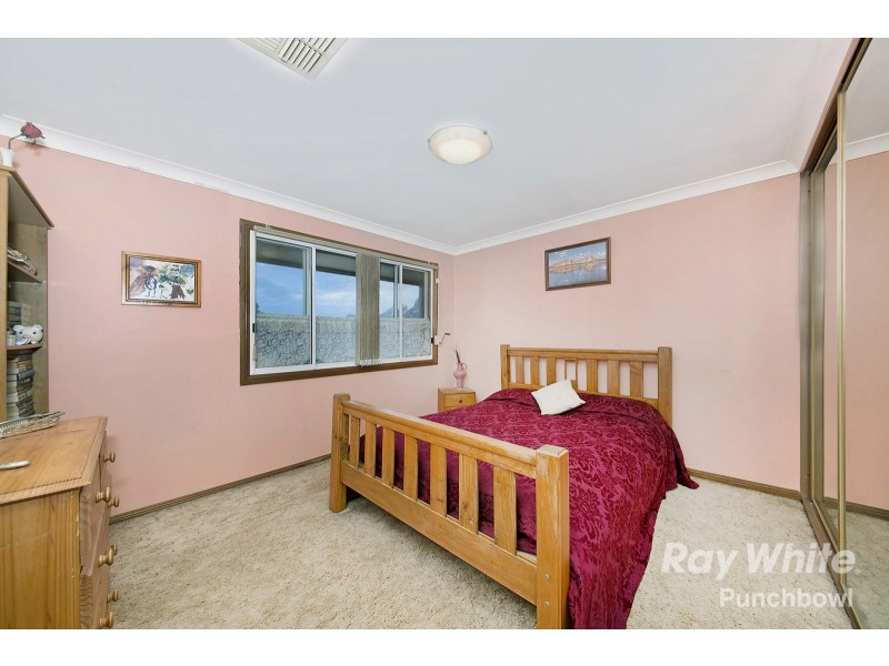 154 King Georges Road, Wiley Park NSW 2195