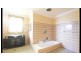 392 Hume Highway, Bankstown NSW 2200
