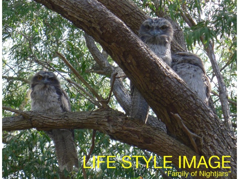 4/32-34 Pine Hill Drive, Frankston VIC 3199