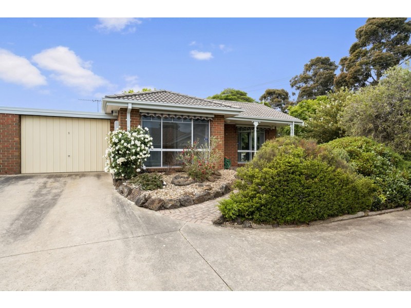1/238 Cranbourne Road, Frankston VIC 3199