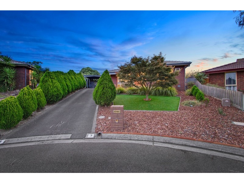 3 Aden Place, Frankston VIC 3199