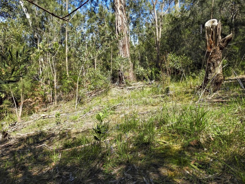 84 Two Bays Road, Mount Eliza VIC 3930