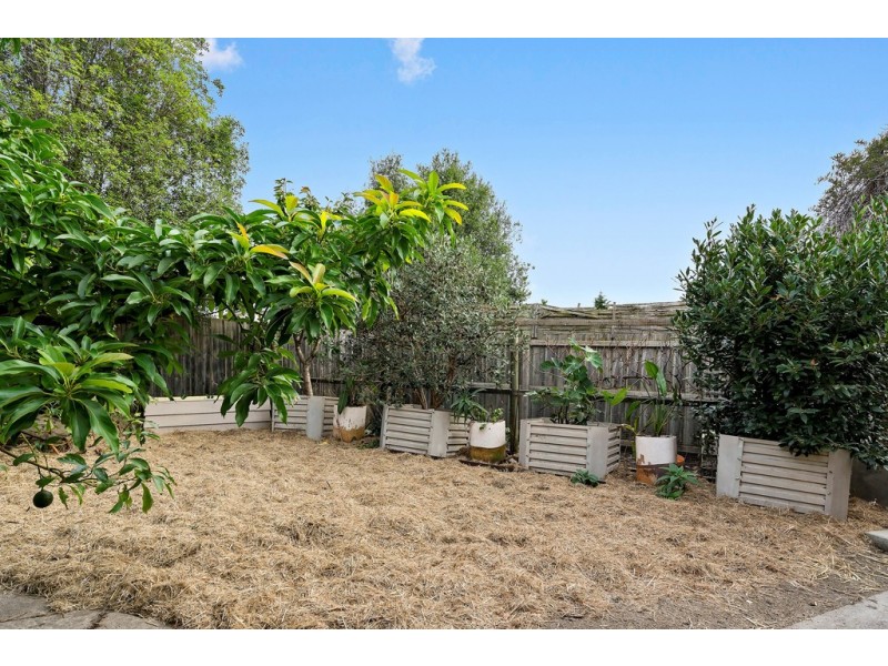 98 Frankston-Flinders Road, Frankston VIC 3199