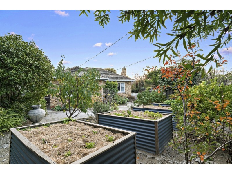 98 Frankston-Flinders Road, Frankston VIC 3199